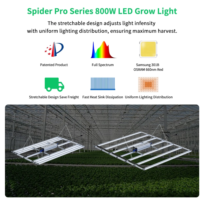 Commercial Indoor Greenhouse Retractable Design LED Grow Light 800W for Medical Plants Growing