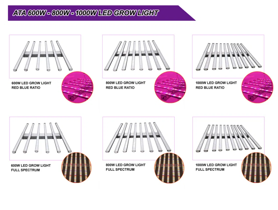 Spyder 600W/800W/1000W Full Spectrum LED Grow Lights for Medical Plants and Hydroponics Indoor Plants