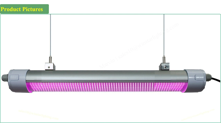 China Wholesale 150W 5FT IP65 LED Grow Light, LED Tri Proof Light, Mini Projector