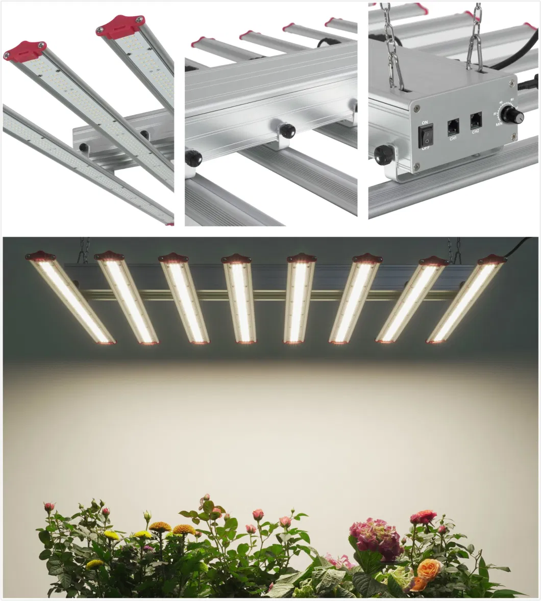 800W Full Spectrum Spyder LED Grow Light 10bars LED Plant Light for Medical Plants