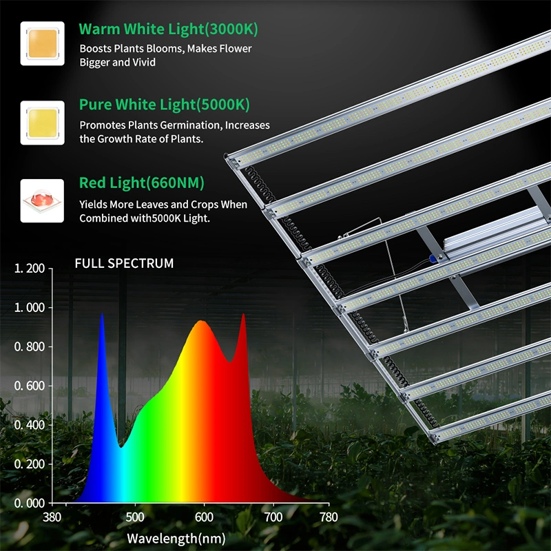 Commercial Indoor Greenhouse Retractable Design LED Grow Light 800W for Medical Plants Growing