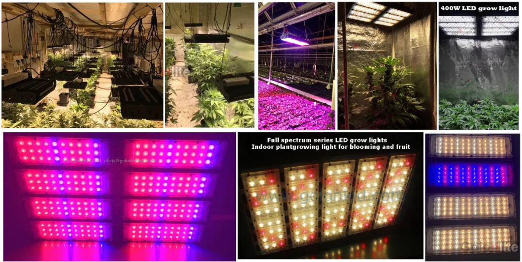 Full Spectrum LED Plant Lights 400W CREE LED Grow Light