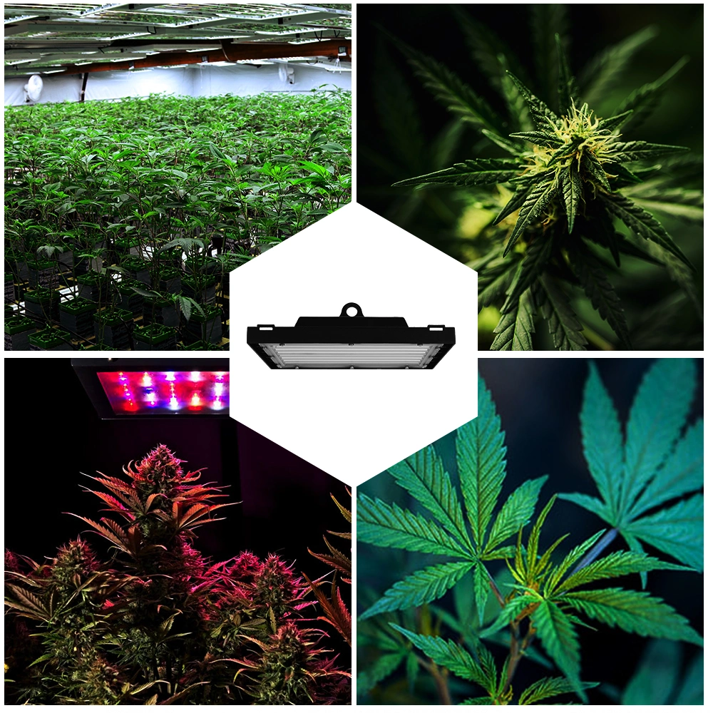 Hot Selling Growing Light Fixtures 150W Wholesale LED Grow Light