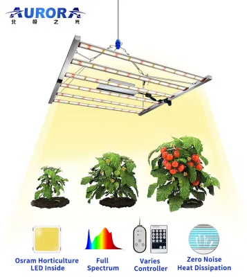 Aurora 500W 600W Vollspektrum-LED-Wachstumslicht