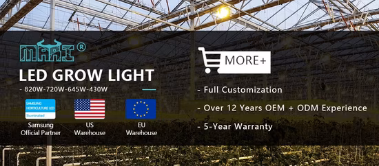 Lm301b 640W 800W Fluence Spyder LED-Wachstumslicht Vollspektrum-Hydrokultur für medizinische Pflanzen