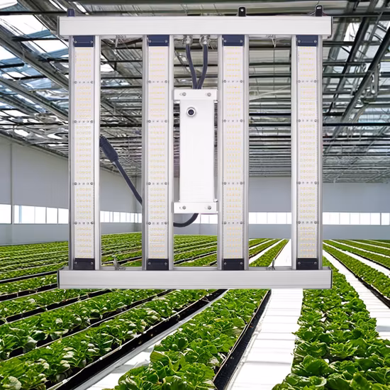 Hydroponics Samsung faltbares LED-Wachstumslicht 480 W 640 W 800 W 1000 W faltbare LED für Pflanzenwachstum