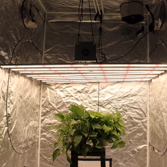800W 1000W Professionelles Vollspektrum-LED-Licht für Pflanzenwachstum in China mit 600 nm